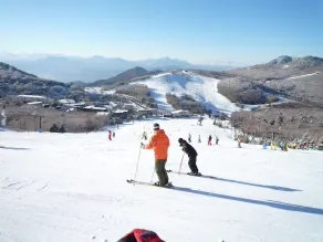 Diamond Shiga - Image 3