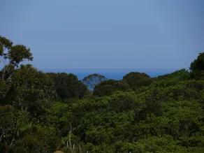 Shearwater Cottages - Image 5
