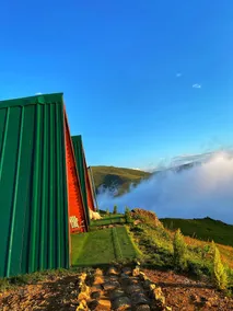 Bear Bungalov - Image 5