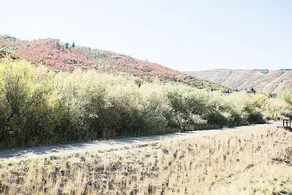 Rail Trail Retreat by Casago - Image 5