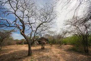 Yala National Park Camping - Image 2