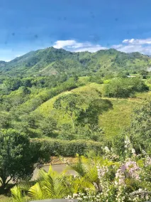 La Primavera - Image 3