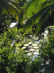 Gajib Bed&Breakfast - Image 3