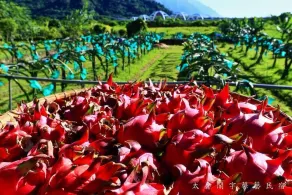 Hualien Taroko Yu'S Homestay Bb - Image 3