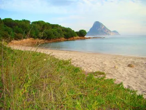 House With 2 Bedrooms in Porto Taverna, With Wonderful sea View and Terrace - 10 m From the Beach - Image 4