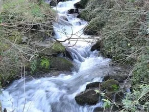 The Sandrock - Image 5