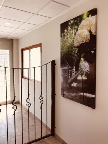 El Jardin De Las Eras - Image 3