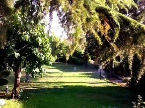 B&B Aloisio - Image 3