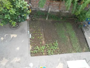 Binh Minh Homestay - Image 4