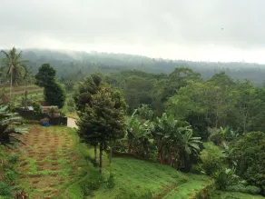 Pacung Indah Hotel - Image 5