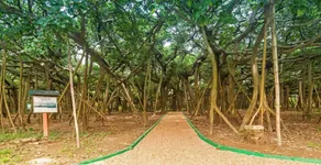 Kanha Boutique Hotel by OYO Rooms - Image 3