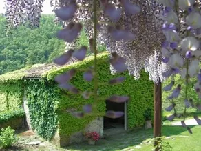 Casa Uscioli - Image 4
