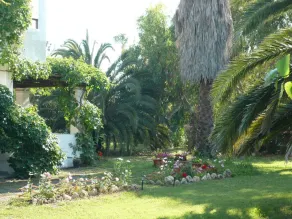 Nice and Cosy Apartment in Agios Giorgios, Corfu - Image 2