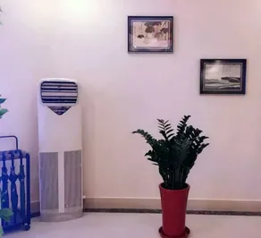 GreenTree Eastern Chongqing Yangjiaping Pedestrian Street Mixc Hotel - Image 2