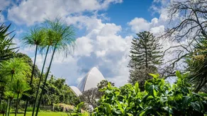 Macquarie Uni 2 Bedroom Modern APT + Free Parking Nnr009 - Image 4