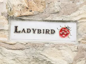 Ladybird - Image 5