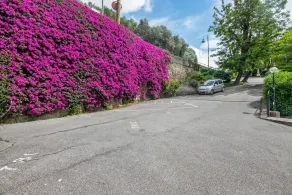 Camogli Bright Apartment with Parking - Image 4
