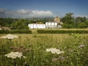 The Wroxeter - Image 3