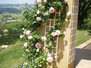 Charming Country House With Panoramic Views - Image 5