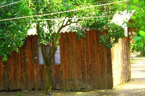 Saban Tree Houses - Image 5