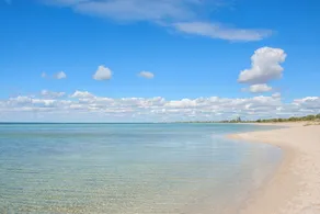 Paradise - Image 3