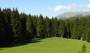 North Chalets - Image 5