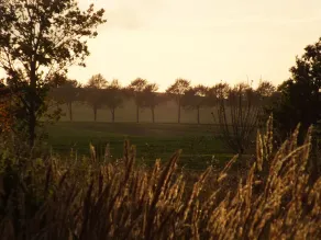 Revier Albatros 2 - WIPPSTEERT - Image 3
