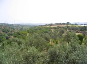 Villa With 4 Bedrooms in Chiaramonte Gulfi , With Wonderful Mountain View, Private Pool and Enclosed Garden - 30 km From the Beach - Image 4