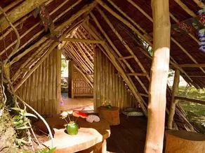 Port Olry Tree House Bungalow - Image 5