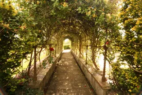Mullaghmore House - Image 3