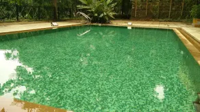 Surya Sangolda Apartment - Image 4