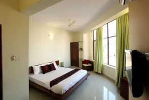 The Olive Suites - Image 4