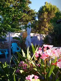 David Guesthouse - Image 5