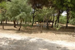 Villa Boschetto - Image 5