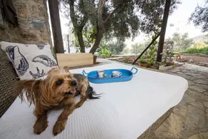 Peaceful Villa With Pool and Garden in Bodrum - Image 4