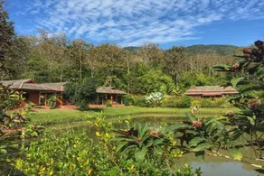 Noks Garden Resort - Image 4