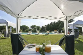 Fattoria Laviosa - Image 4