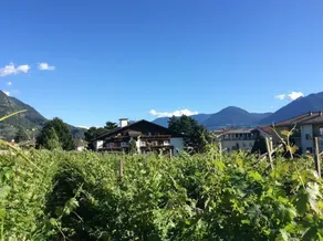 Pension Winzerhof - Image 5