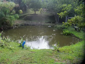 Pousada Recanto Dos Ipes - Image 4