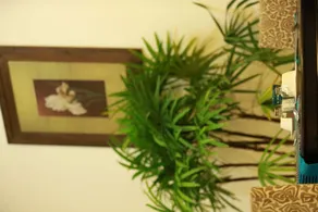 The Canes Boutique Hotel - Image 4