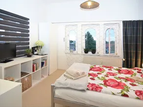 Modern holiday home in a listed villa with a view of Bad Suderode - Image 2
