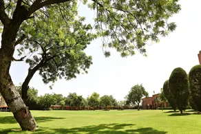 Shree Ram International - Image 3