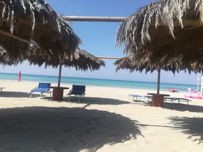 Dimora Del Sole Salento Dog Friendly - Happy Rentals - Image 5