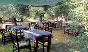 Hotel Oiki Beach Camp - Image 4