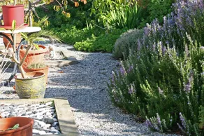 The Olive Branch Villa - Image 2