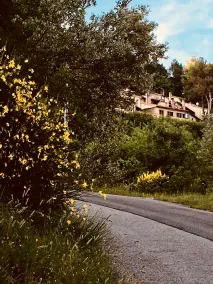 Cesalegreenways B&R - Image 5