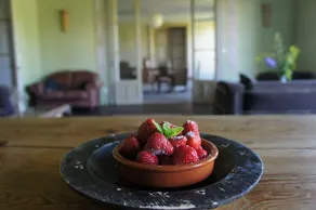 Yobaba Lounge - Image 3