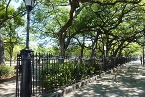 Royal Elysian - Image 3