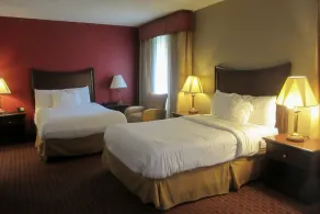 Quality Inn & Suites Owego - Image 5