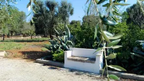 Trullo Giampiero - Image 5